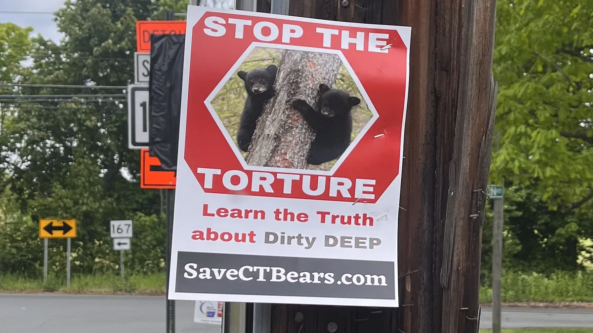 Bear Protection