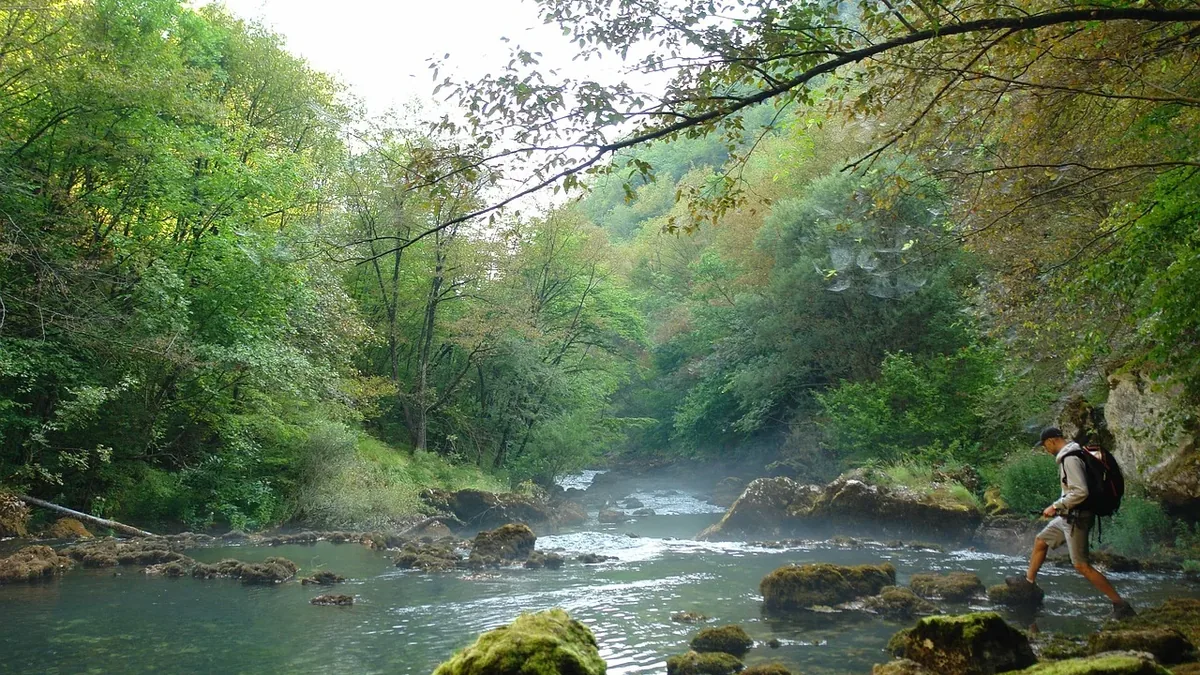 A person crossing a river on rocks, surrounded by trees and foliage.